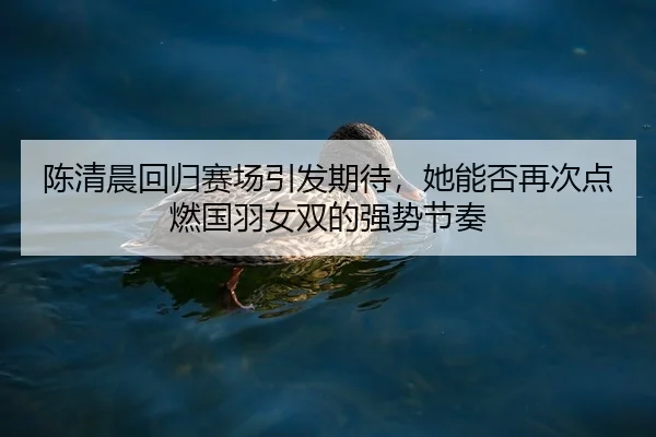 陈清晨回归赛场引发期待，她能否再次点燃国羽女双的强势节奏